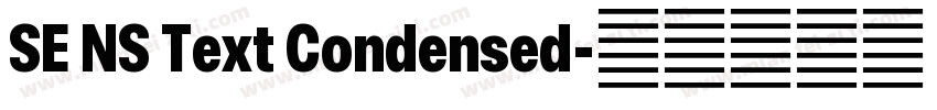 SE NS Text Condensed字体转换